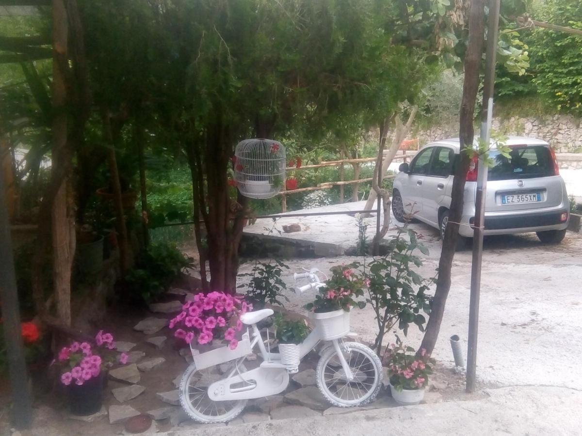 Amaa Casa * Vico Equense